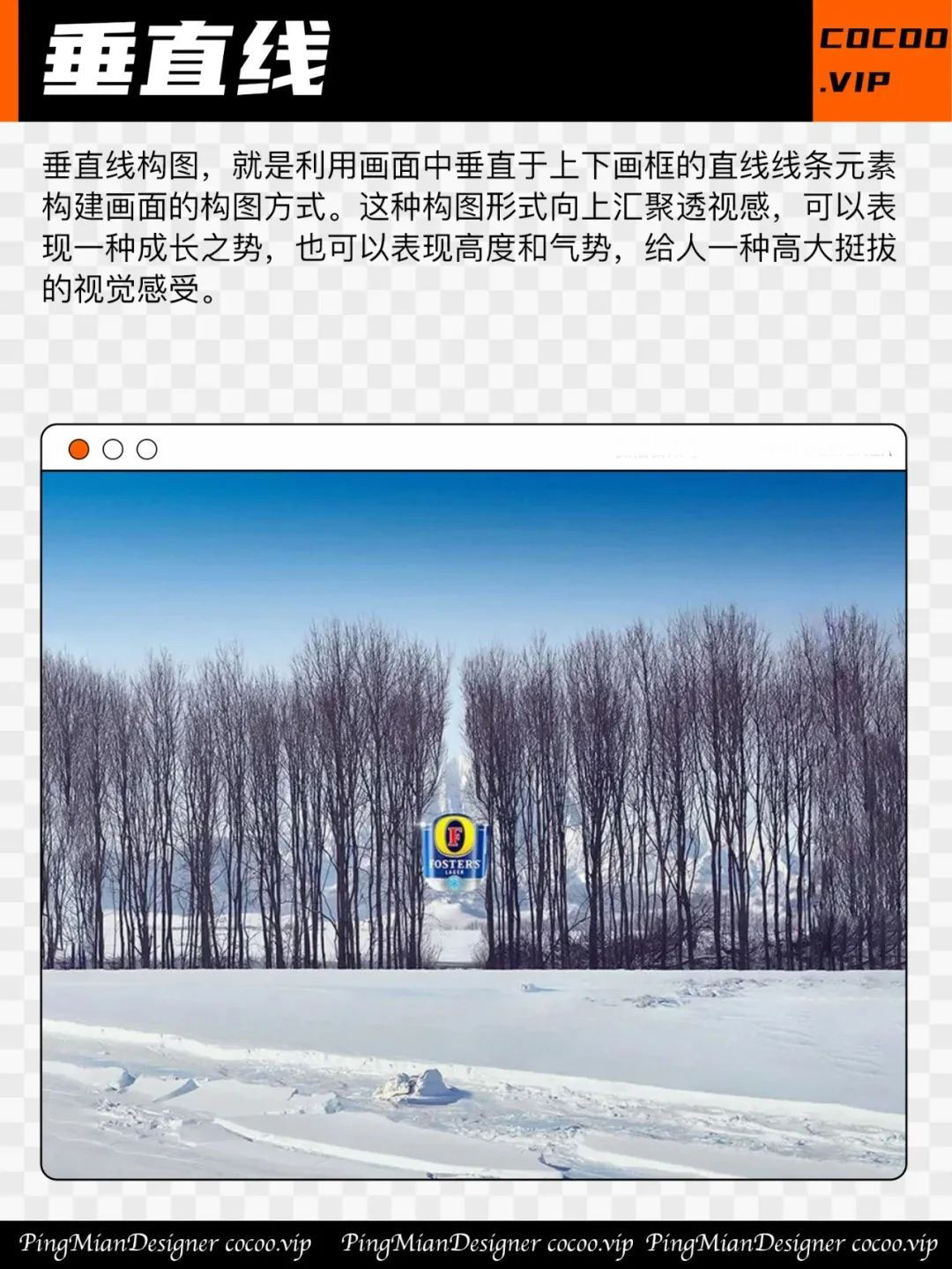零基础看过来，带你学习构图技巧。